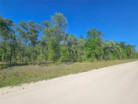 13371 NE 9th St, Williston, FL 32696