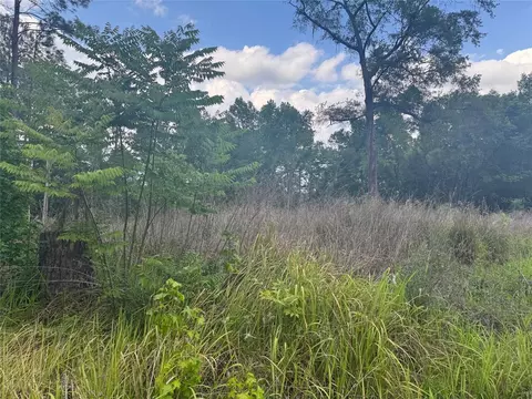 0 SE 37 Ct, Belleview, FL 34420