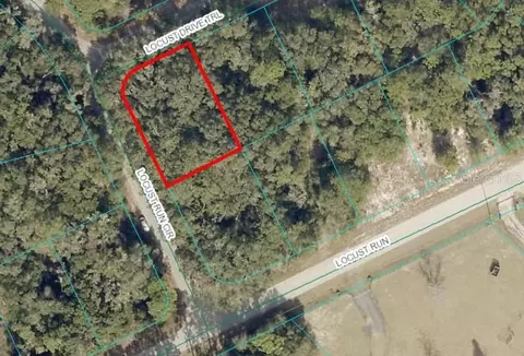 tbd Locust Drive Trl, Ocala, FL 34472
