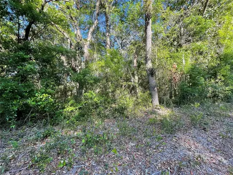 lot3 NW 82 Ct, Chiefland, FL 32626