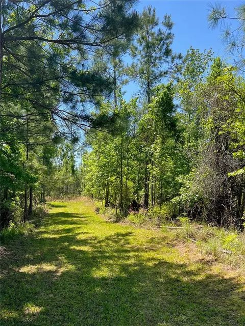 000 SW 9th Ter, Otter Creek, FL 32683