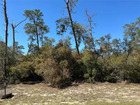 0 SW 175th Loop, Ocala, FL 34473