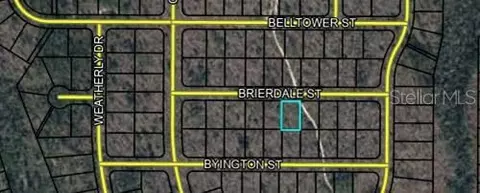 lot6 Brierdale St, Chipley, FL 32428 photo 3