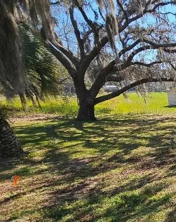 tbd SE 51st Ter, Summerfield, FL 34491