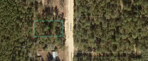 117 Romanshorn St, Interlachen, FL 32148