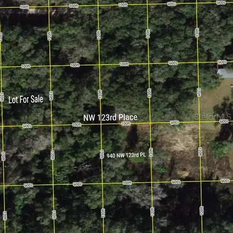 tbd NW 123rd Pl, Citra, FL 32113