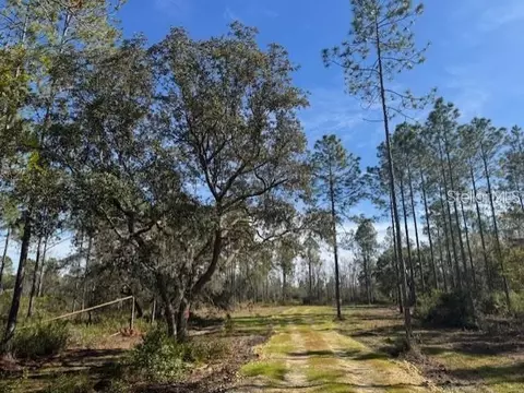 ne 150th ave road LOT 3, Fort Mc Coy, FL 32134