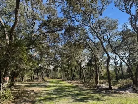 ne 150th ave road LOT 4, Fort Mc Coy, FL 32134