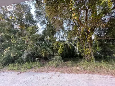 NE 132nd Street, Salt Springs, FL 32134