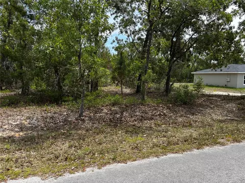 Malauka Place Trail, Ocklawaha, FL 32179