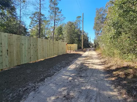 NE 191st Lane, Fort Mc Coy, FL 32134