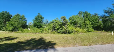 8263 SW 128th Pl, Ocala, FL 34473