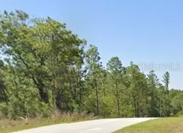 tbd SW Admiral Landind Dr, Dunnellon, FL 34431