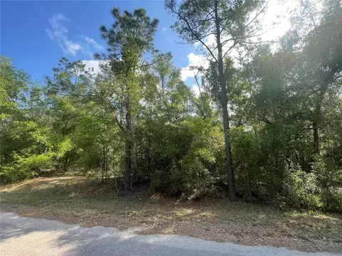 tbd Sequoia Dr #LOT 16, Ocklawaha, FL 32179