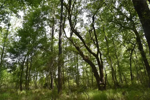 Off Hwy 225, Gainesville, FL 32609