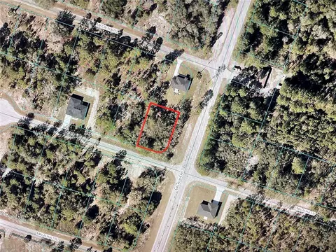63 Malauka Ln, Ocklawaha, FL 32179