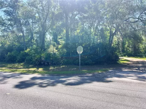 9781 W Pomelo Ln, Crystal River, FL 34428