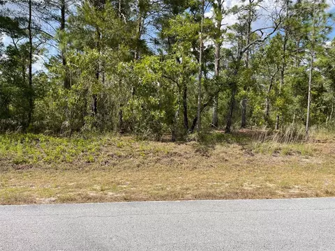 lot S 29 30 Sw Anchor Blvd, Dunnellon, FL 34431