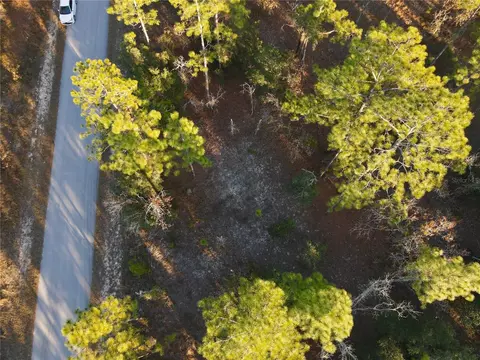 tbd SW Edgewater Blvd, Dunnellon, FL 34431