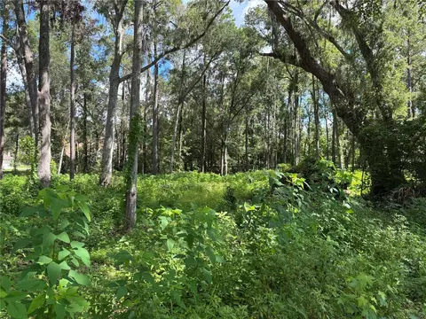 1555 SE 73rd Pl, Ocala, FL 34480 photo 5