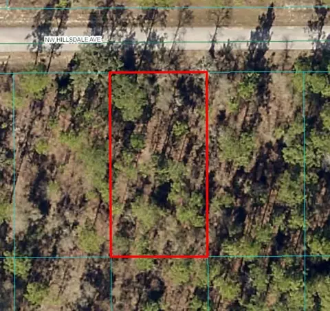 lot15 NW Hillsdale Ave, Dunnellon, FL 34431