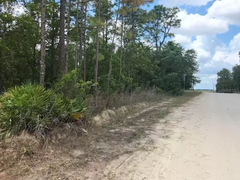 sw 138th terrace, Dunnellon, FL 34432