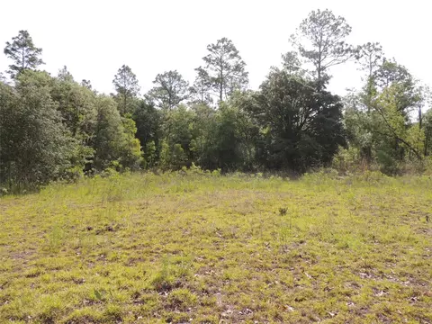 8391 NE 95th Ave, Bronson, FL 32621