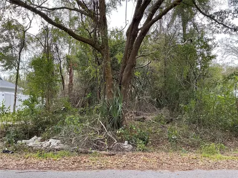 0 SE 137th Pl, Summerfield, FL 34491