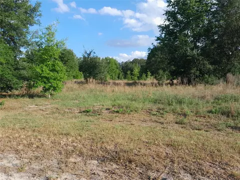 21930 SE 60th Ln, Morriston, FL 32668