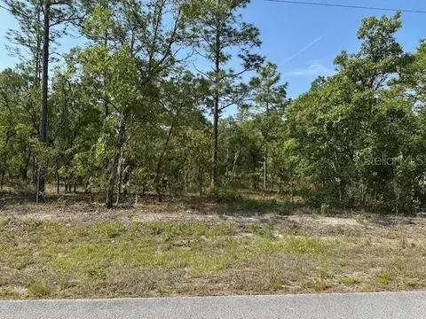 lot20 SW Anchor Blvd, Dunnellon, FL 34431