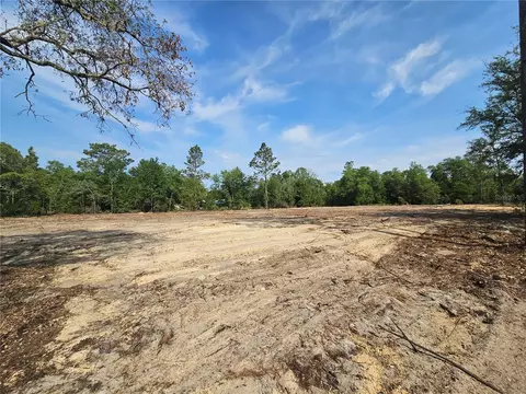 9591 NE 88th Ln, Bronson, FL 32621