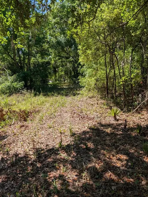 0 NW 202nd Pl, Mcintosh, FL 32664