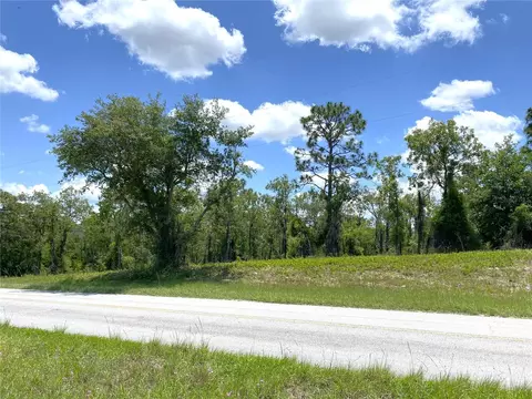 00 NE 20th St, Williston, FL 32696