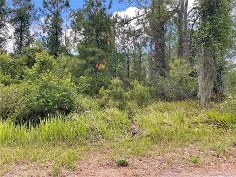 lot1 Locust Place Run, Ocala, FL 34472