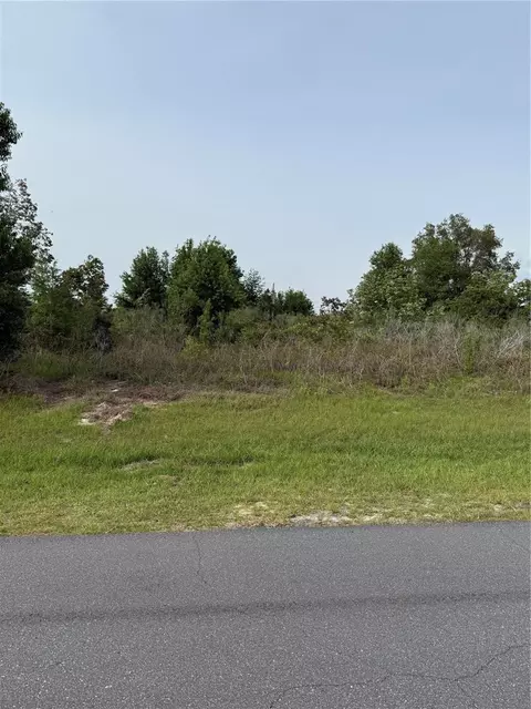 tbd SW 129th Ln, Ocala, FL 34473 photo 3