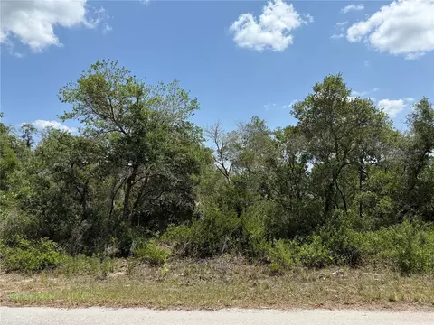tbd Fisher Loop #36, Ocklawaha, FL 32179