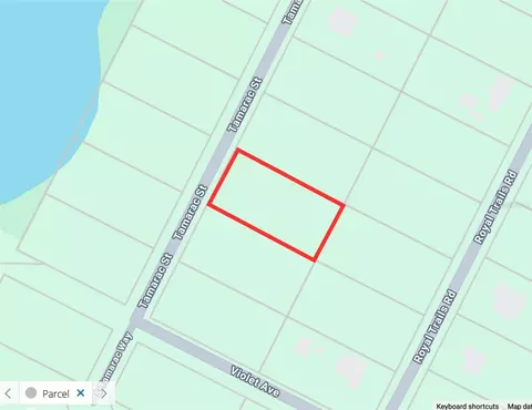 Tamarac Street, Eustis, FL 32736