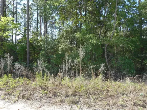 SW 51st Lane, Dunnellon, FL 34432