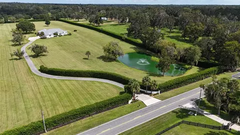 View/Area - 601 SE 80th St, Ocala, FL 34480 photo 11 of 12