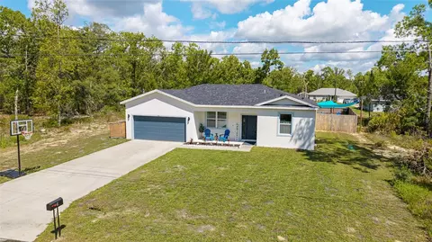 46 Fisher Lane Ter, Ocklawaha, FL 32179