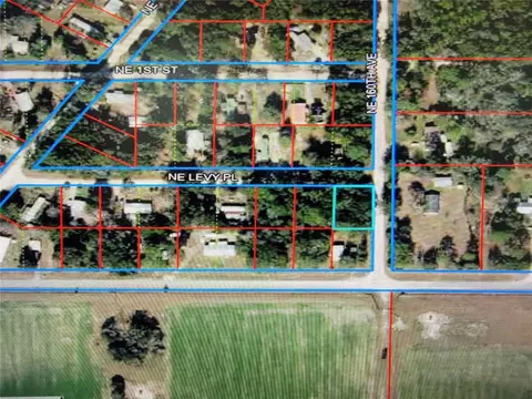 lot19 NE Levy Pl, Williston, FL 32696