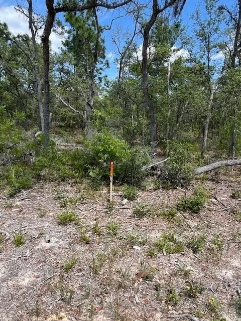 tbd SW 57th Ave #46 & 47, Interlachen, FL 32148