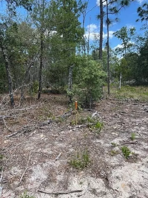 tbd SW 57th Ave #48 & 49, Interlachen, FL 32148