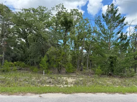 0 Malauka Trail Crse #04, Ocklawaha, FL 32179