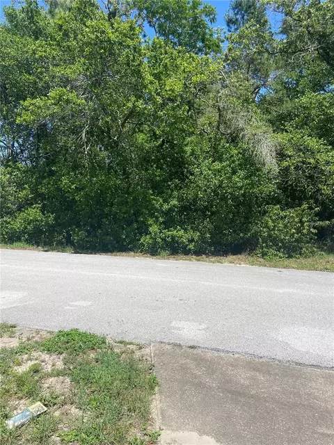 Bluffview Dr, Spring Hill, FL 34609