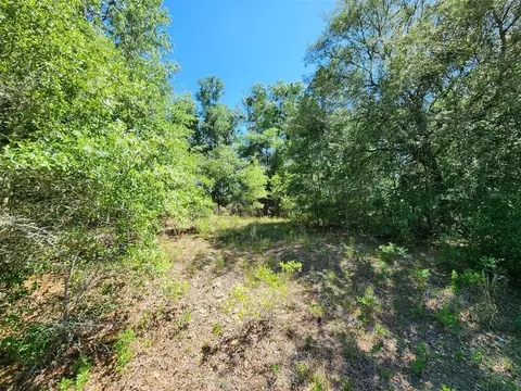 SW Marine Boulevard, Dunnellon, FL 34431
