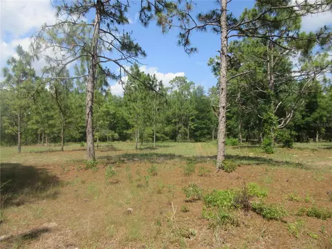 3201 S Highway 314a, Ocklawaha, FL 32179