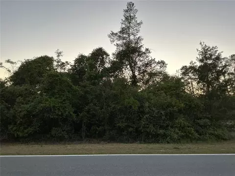 SE 145th Avenue, Ocklawaha, FL 32179