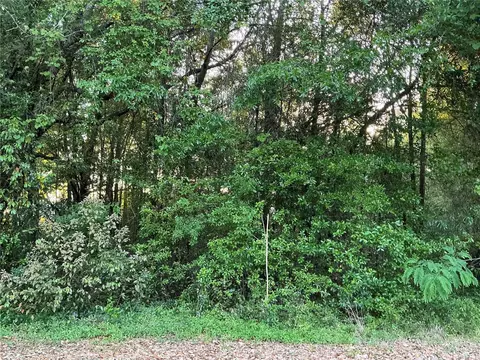 0 Pine Trace Crse, Ocala, FL 34472