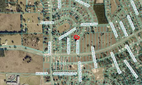 Juniper Drive, Ocala, FL 34480